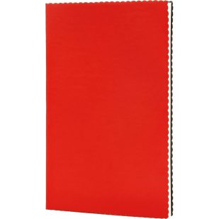 Promosyon Tarihsiz Defter - Erciyes